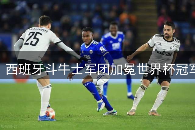 西班牙斗牛士军团加冕世界杯冠军！传控美学登顶世界之巅！